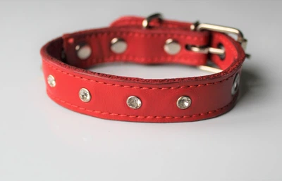 Ошейник со стразами Lockdog M(30-44 см) 000239986