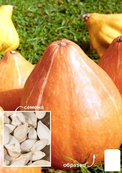 На развес Тыква "Оранжевая сладость" Agro-Market цена за 10г (49351)