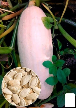 На вагу Гарбуз "Рожевий делікатес" Agro-Market ціна за 10г (49373)