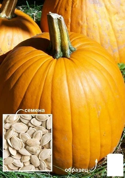 На вагу Гарбуз "Посмішка" Agro-Market ціна за 15г (49377)