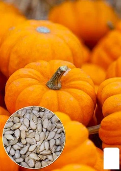 На развес Тыква "Парижская золотая" Agro-Market цена за 10г (49051)