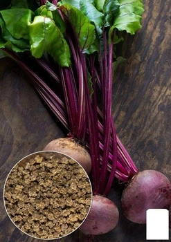 На вагу Буряк "Кругла темно-червона" Agro-Market ціна за 10г (22214)