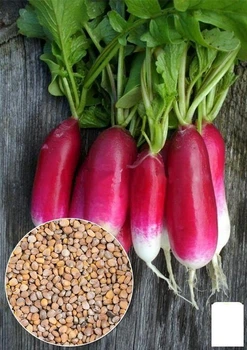 На развес Редис "18 дней" Agro-Market цена за 10г (13332)