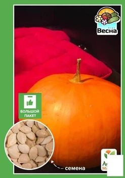 Тыква "Медовая" (Большой пакет) Agro-Market 4г (32817)