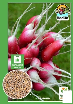 Редис "Базис" (Большой пакет) Agro-Market 6г (32683)