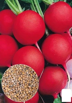 На вагу Редис "Сакса" Agro-Market ціна за 10г (22265)