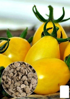 На развес Томат "Де-Барао золотой" Agro-Market цена за 1г (26466)
