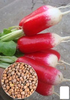 На развес Редис "Французский завтрак" Agro-Market цена за 10г (13331)