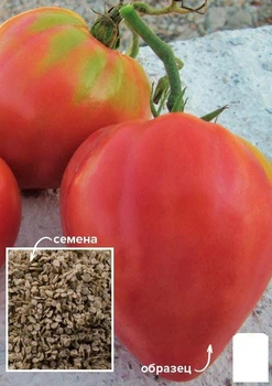 На развес Томат "Интрига" Agro-Market цена за 1г (49401)