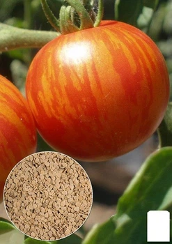 На вагу Томат "Амурський тигр" Agro-Market ціна за 1г (45393)