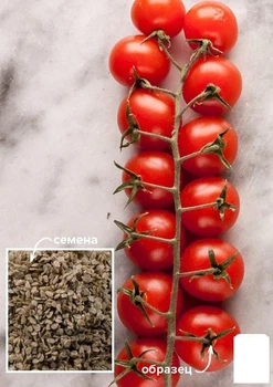 На развес Томат "Зимняя вишня" Agro-Market цена за 1г (49398)