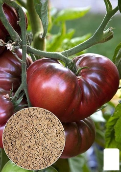 На вагу Томат "Мікадо чорний" Agro-Market ціна за 1г (35733)
