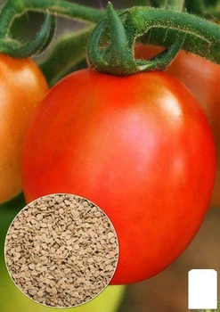 На вагу Томат "Новичок" Agro-Market ціна за 2г (13310)