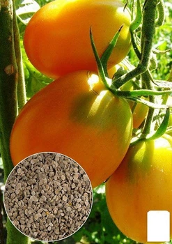 На вагу Томат "Де-барао жовтий" Agro-Market ціна за 1г (13301)
