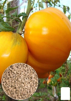 На вагу Томат "Бичаче серце жовте" Agro-Market ціна за 1г (22180)