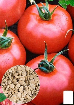 На развес Томат "Чудо рынка" Agro-Market цена за 1г (22197)