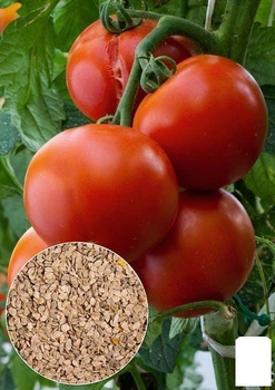 На развес Томат "Гибрид Тарасенко 6" Agro-Market цена за 1г (22173)