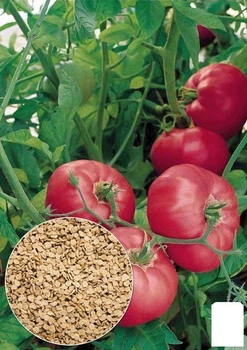 На развес Томат "Дикая роза" Agro-Market цена за 1г (13315)