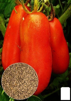 На вагу Томат "Перцеподібний" Agro-Market ціна за 1г (22153)