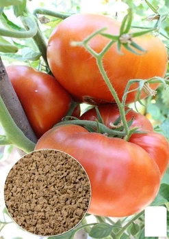 На вагу Томат "Альпійський мед" Agro-Market ціна за 1г (32075)