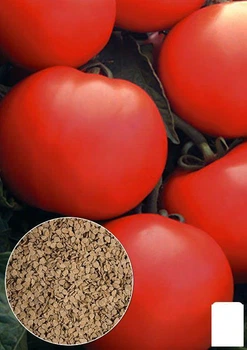 На развес Томат "Сверхранний" Agro-Market цена за 2г (11512)