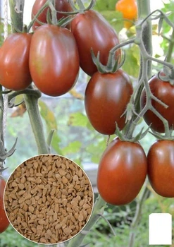 На развес Томат "Черный мавр" Agro-Market цена за 1г (32278)