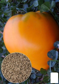 На развес Томат "Бычье сердце оранжевое" Agro-Market цена за 1г (32263)