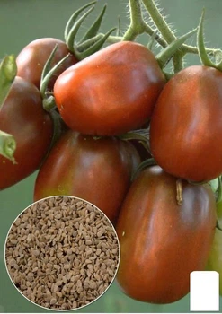 На развес Томат "Де-барао черный" Agro-Market цена за 1г (32066)