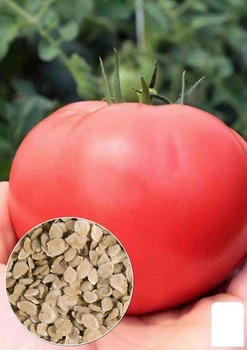 На развес Томат "Олимп розовый" Agro-Market цена за 1г (22165)