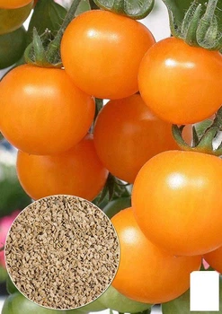 На вагу Томат "Черрі помаранчевий" Agro-Market ціна за 1г (22161)