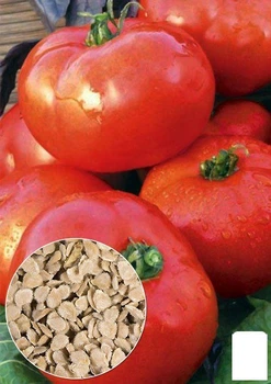 На развес Томат "Славянский шедевр" Agro-Market цена за 1г (22164)