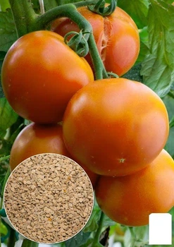 На развес Томат "Дружба" Agro-Market цена за 1г (13316)
