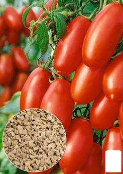 На развес Томат "Сливка гигант" Agro-Market цена за 1г (35731)