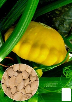 На развес Патиссон "Желтый" Agro-Market цена за 5г (22289)