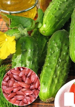 Насіння Огірок "Мона F1" ТМ "Agro-Market" ціна за 3г (22140)