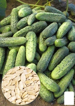 На вагу Огірок "Пальчик" Agro-Market ціна за 2г (22120)