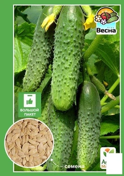 Насіння Огірок "Фенікс 640" (Великий пакет) ТМ "Agro-Market" 2г (32503)