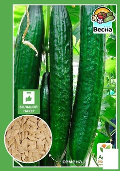 Огурец "Китайское чудо" (Большой пакет) Agro-Market 1г (32493)