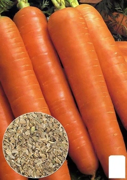На развес Морковь "Каротель" Agro-Market цена за 10г (13338)
