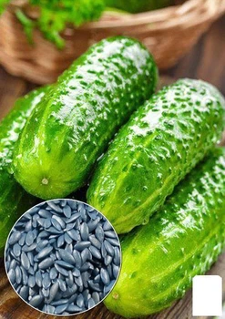 На развес Огурец обработанный "Гейм" Agro-Market цена за 1г (21618)