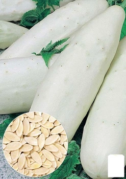 На развес Огурец "Китайский белый" Agro-Market цена за 2г (26465)