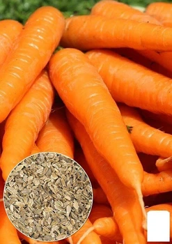 На развес Морковь "Аленка" Agro-Market цена за 10г (22207)