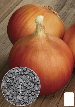 На вагу Цибуля "Каратська" Agro-Market ціна за 5г (22098)