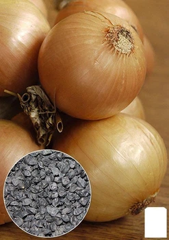 На развес Лук "Золотистый" Agro-Market цена за 5г (22099)