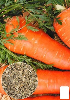 На вагу Морква "Шантане Роял" Agro-Market ціна за 10г (22208)