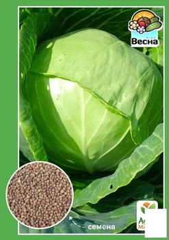 Капуста "Харьковская зимняя" (Большой пакет) Agro-Market 2,5г (32677)