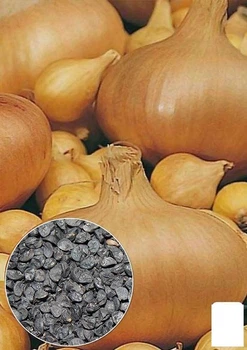 На развес Лук "Штутгартен Ризен" Agro-Market цена за 5г (22103)