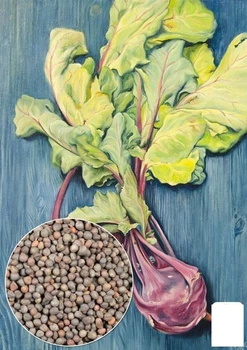 На развес Капуста кольраби "Венская голубая" Agro-Market цена за 2г (32067)