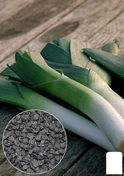 На вагу Лук "Порей" Agro-Market ціна за 3г (13361)
