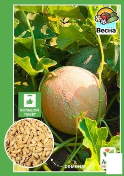 Диня "Дубівка" (Великий пакет) Agro-Market 4г (32695)